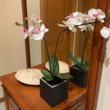 Funcional Lalin-centro * Lalín