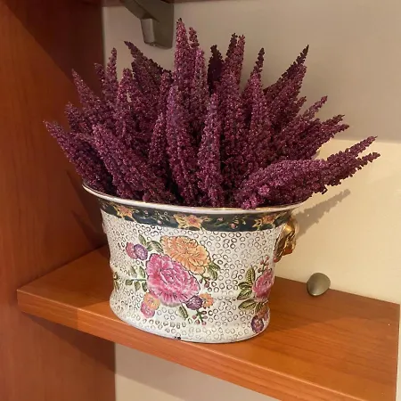 Funcional Lalin-centro