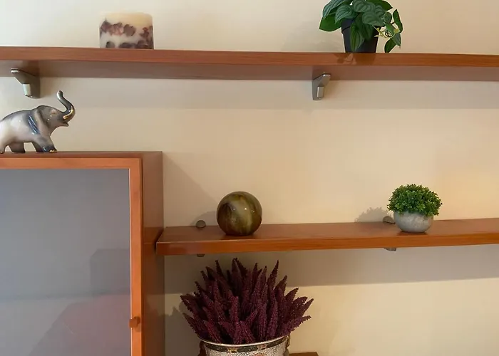 Funcional Lalin-centro